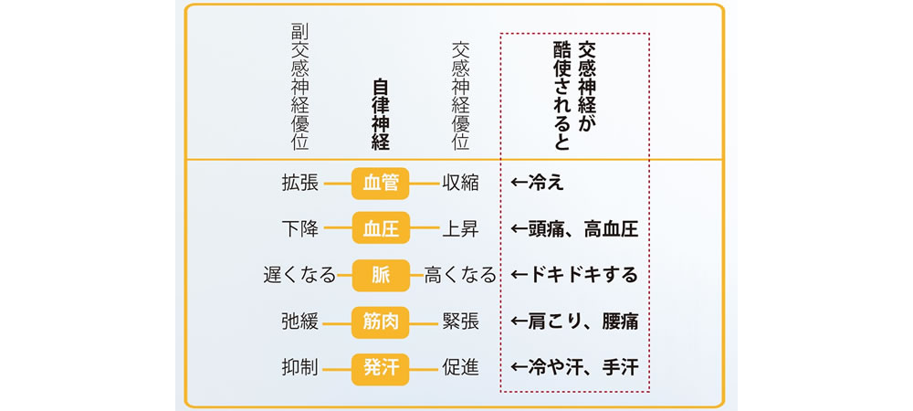 自律神経の表